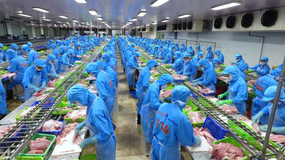 dây chuyển sản xuất thủy sản hiện đại